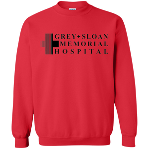Grey's anatomy 2019 - Memorial Hospital