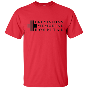 Grey's anatomy 2019 - Memorial Hospital